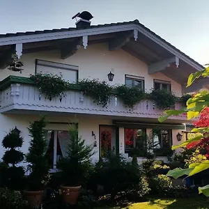 Penzion Nussdorfer Gastehaus